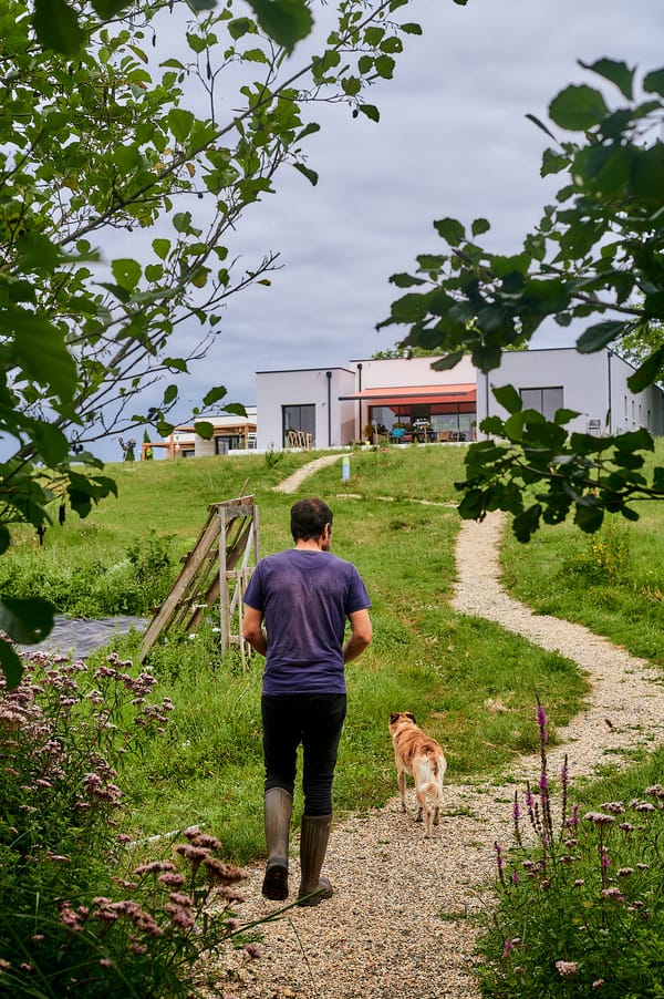 Le manifeste de graine de séquoia